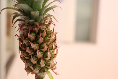 パイナップル イオス